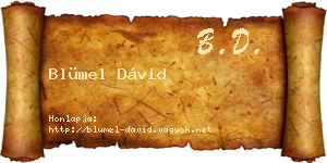 Blümel Dávid névjegykártya