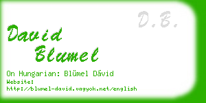 david blumel business card