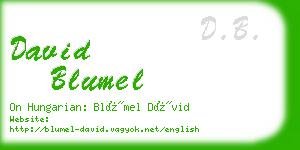 david blumel business card